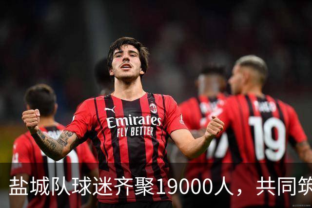 盐城队球迷齐聚19000人，共同筑梦于主场的璀璨拼图